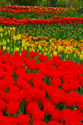 Similar image 5545438