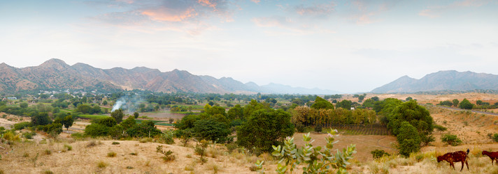 Similar image 5545449