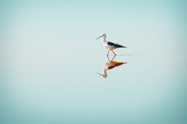 Similar image 5545450