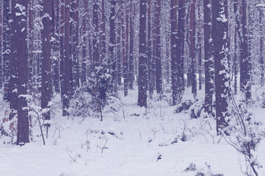 Similar image 5545461