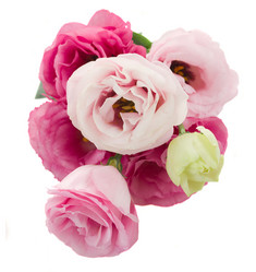 Similar image 5545485