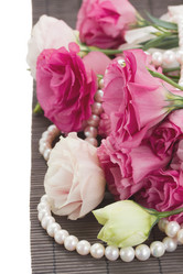 Similar image 5545487