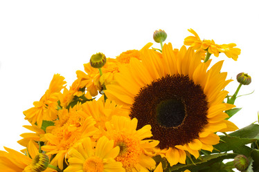 Similar image 5545497