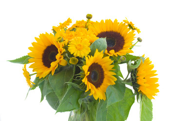 Similar image 5545499