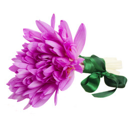 Similar image 5545547