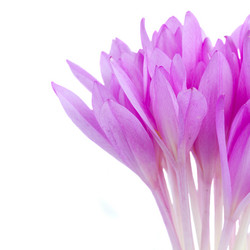 Similar image 5545549