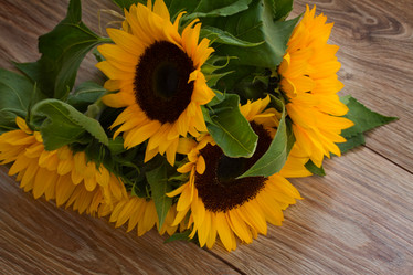 Similar image 5545550