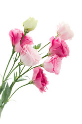 Similar image 5545551