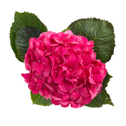 Similar image 5545584