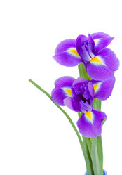 Similar image 5545590