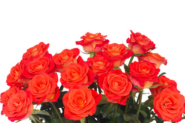 Similar image 5545592