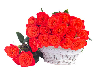 Similar image 5545593