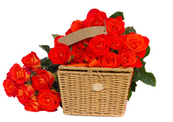 Similar image 5545594