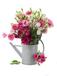 Similar image 5545599