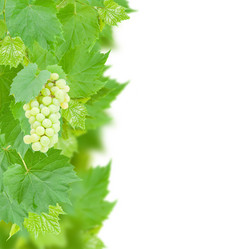 Similar image 5545603