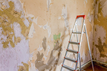 Similar image 5545632