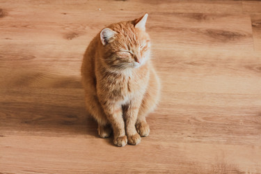 Similar image 5545717