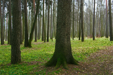 Similar image 5545721