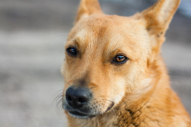 Similar image 5545740