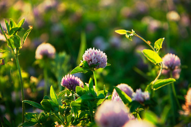 Similar image 5545776