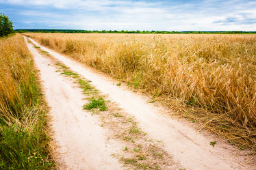 Similar image 5545803