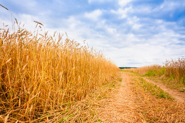 Similar image 5545806