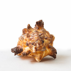 Similar image 5545820