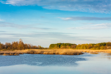 Similar image 5545827