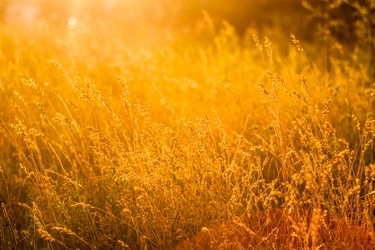 Similar image 5545848