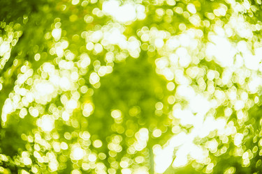 Similar image 5545855