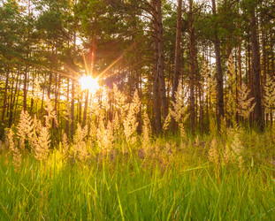 Similar image 5545863