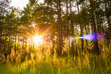 Similar image 5545866