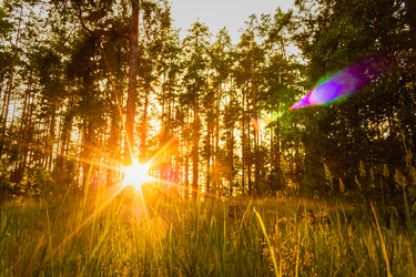 Similar image 5545868