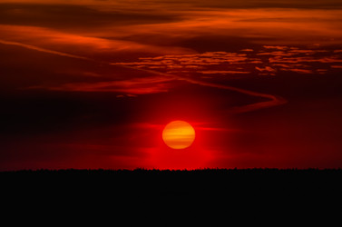 Similar image 5545871