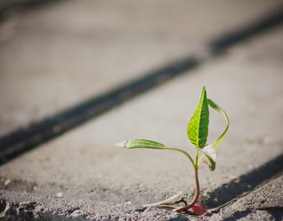 Similar image 5545913