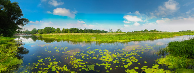 Similar image 5545917