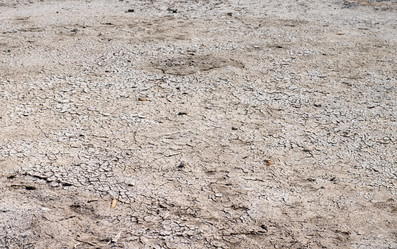 Similar image 5545929