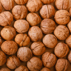 Similar image 5545960