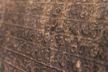 Similar image 5545994