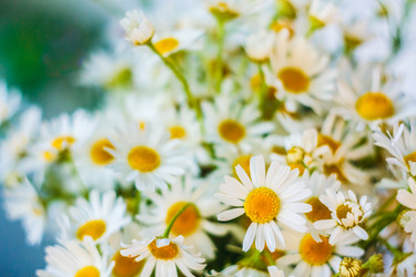 Similar image 5546012