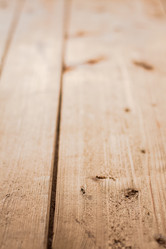 Similar image 5546037