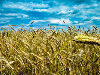 Similar image 5546086