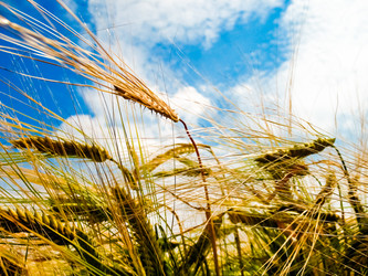 Similar image 5546087