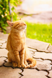 Similar image 5546090