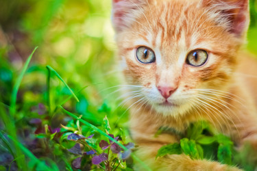 Similar image 5546092