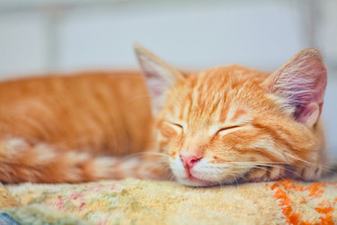 Similar image 5546094