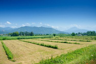 Similar image 5546168