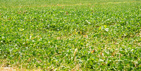 Similar image 5546187