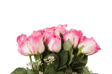 Similar image 5546246