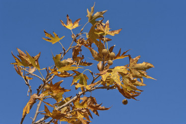 Similar image 5546657